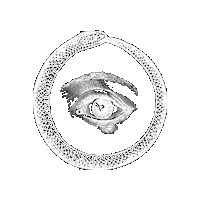 Eye Snake Sticker by DB&BAR