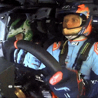 Driver Driving GIF by FIA World Rally Championship