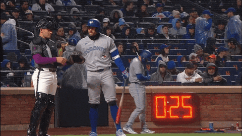 Blue Jays Hello GIF by Toronto Blue Jays