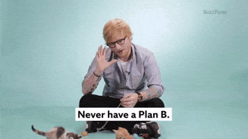 Never Have A Plan B