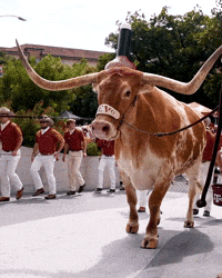 Texas Football GIF by Texas Longhorns