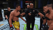 Rafael Dos Anjos Ufc GIF