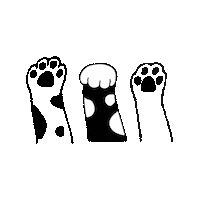 catniptakeout cats kitty kittens playful Sticker