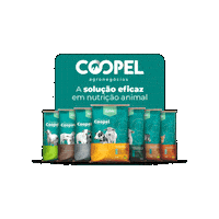 Gado Corte Sticker by Coopel Agronegócios