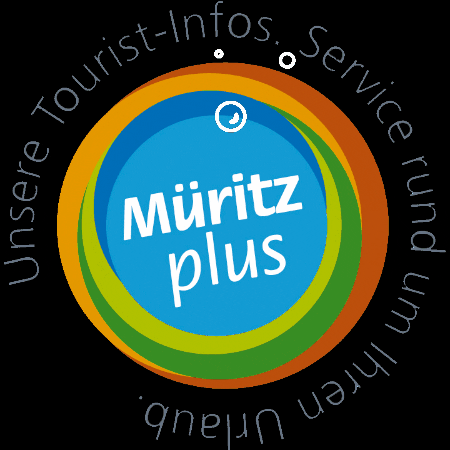 TDGRechlinmbH giphyupload waren robel plau GIF