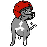 Pit Bull Football Sticker