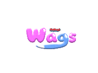 Petsburgh cat dog pets wags Sticker