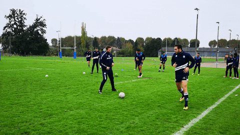 Agen_Rugby giphygifmaker football rugby sua GIF