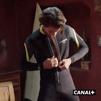 Fun Lol GIF by CANAL+