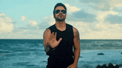 luis fonsi GIF