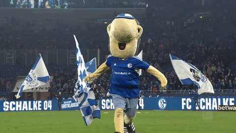 Football Soccer GIF by FC Schalke 04