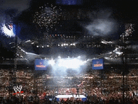 wwe sports wwe wrestling 1992 GIF