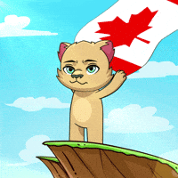 Canadian Flag GIF by Kabu