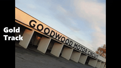 goldtrack giphyupload trackday goodwood goldtrack GIF