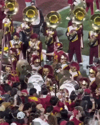 Fight On Usc Trojans GIF