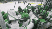 Celebrate North Dakota GIF by University of North Dakota