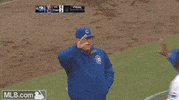 chicago cubs GIF by MLB
