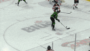 Black Bears GIF by Binghamton Black Bears