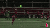 St Johns Goal Celebration GIF by St. John's Red Storm