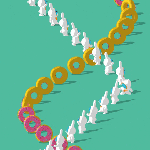 kunichang donut loopartcritique2023 space rabbit spacerabbit GIF