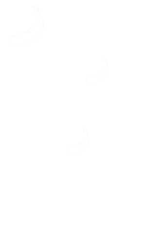 Laser Feather Sticker