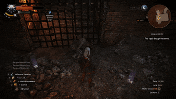 witcher GIF