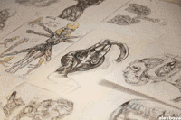 Paper Group GIF by Alex Boya