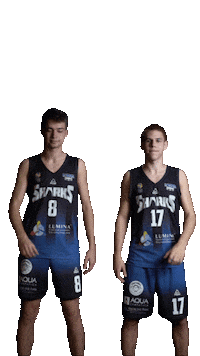LagunaSharks love sport basketball valentine Sticker