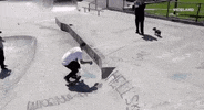 viceland GIF by KING OF THE ROAD