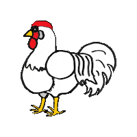 Rooster Gallo Sticker