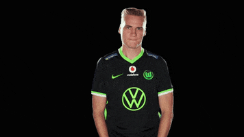 E Sports Sport GIF by VfL Wolfsburg