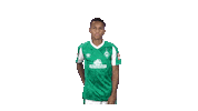 Bundesliga Felix Sticker by SV Werder Bremen