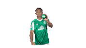 Bundesliga Felix Sticker by SV Werder Bremen