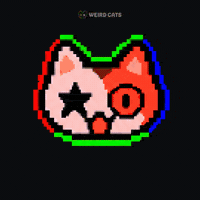 Cat Stay Weird GIF by Weird Cats