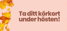 GIF by Körkortsboken
