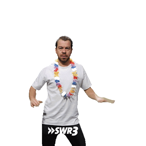 Happy Dance Sticker by SWR3