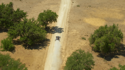 formula 1 usa GIF by Red Bull Racing