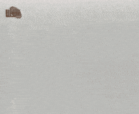 Hair Diva GIF