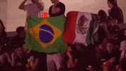 Mixed Martial Arts Sport GIF by UFC