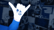 Byu Football GIF by BYU Cougars