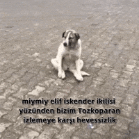 Trt1 GIF