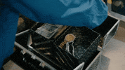 First Class GIF by Blueface
