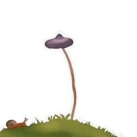 Magic Mushrooms Spring Sticker