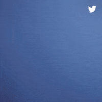 nba rookie GIF by Twitter