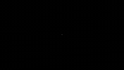 Cueca Chilena GIF
