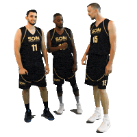 Houilles Sticker by SOH Basketball