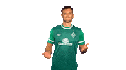 Niclas Füllkrug Sticker by SV Werder Bremen
