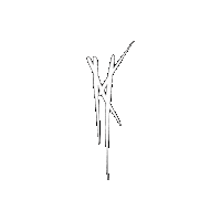 Mkx Sticker