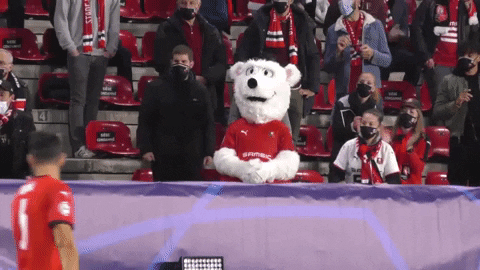 Football Goal GIF by Stade Rennais F.C.