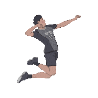 chengchengzz 排球 台電 台電男排 Sticker